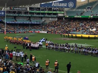 Wallabies Rugby – June Test Series Performances